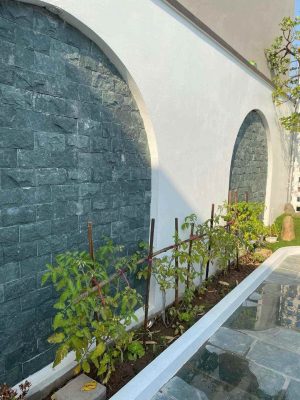 Đá ốp tường bóc xanh rêu