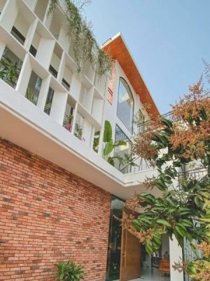 gạch cổ cắt 5x20