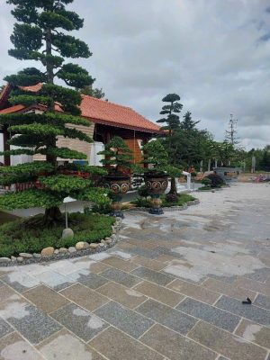 Đá đỏ ruby bình định khò lát sân 30x60