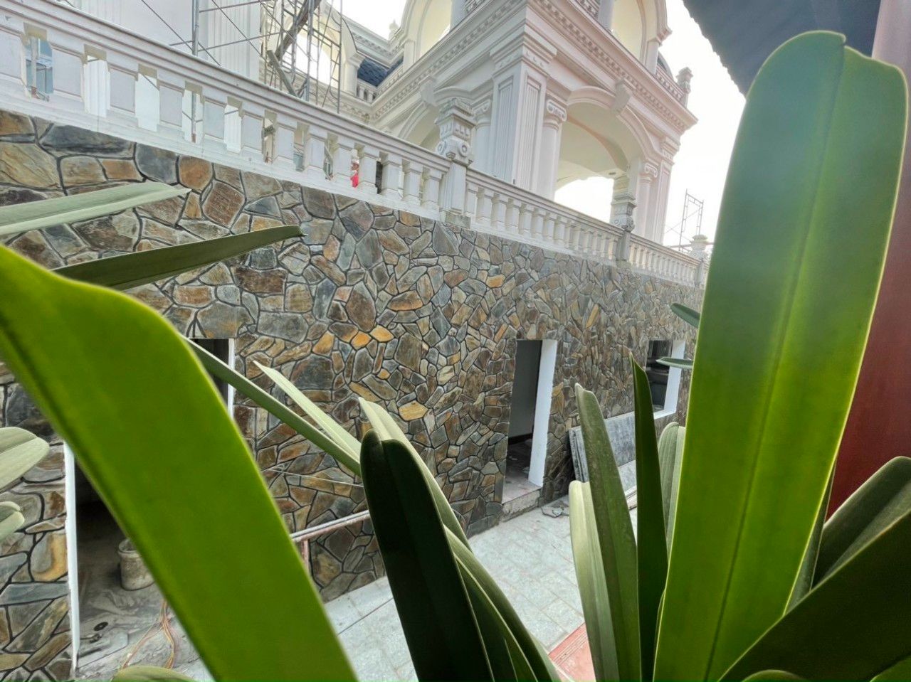 Đá chẻ bao vàng long chuột
