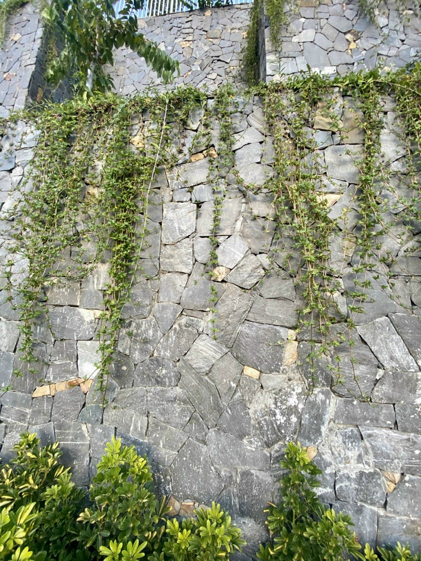 đá chẻ bao