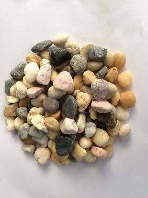 sỏi đa sắc